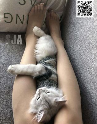 关晓彤的照片和迪丽热巴的照片_超清手机在线观看