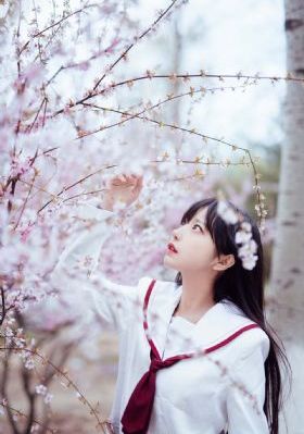 好了av在线第四站综合网站_高清免费全集观看